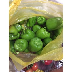 Dolma