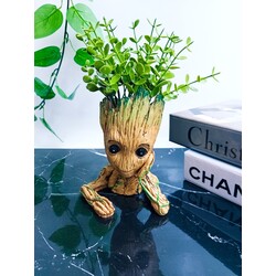 Groot saksı sukulent