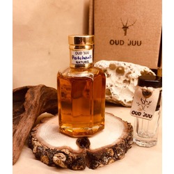 HİNDİSTAN PATCHOULİ BİTKİSİ (TEFARİK) (1 GRAM)
