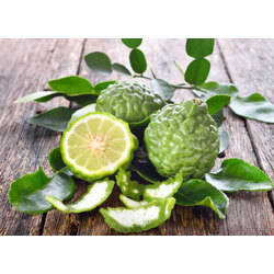 Bergamot (1 GRAM)