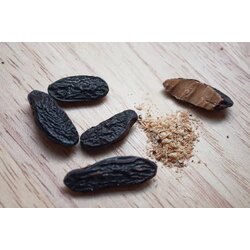 Tonka Fasülyesi (Tonka Beans) 1 GRAM