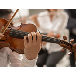 Violin Education Full Course. Beginner to Advanced.
