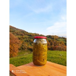 TAZE SARMA YAPRAĞI