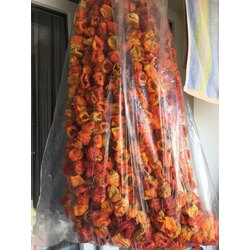 gaziantep biber kurutmamız