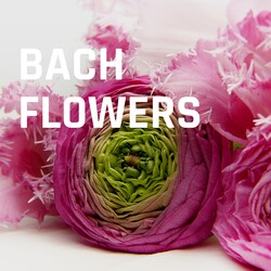 Bach Çiçek Terapisi