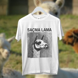 Saçma Lama