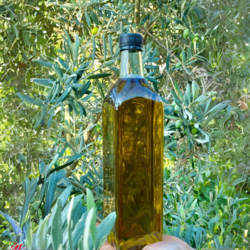 Zeytinyağı 0,5 lt / 1 lt / 5 lt
