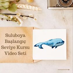 Suluboya Kursu Video Seti Full Set
