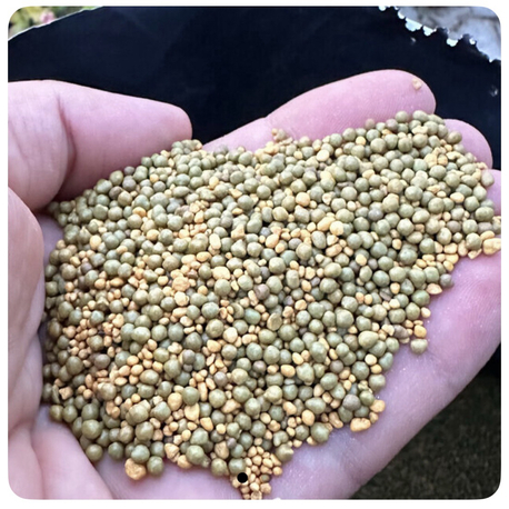 Osmocote Gübre 8-9 aylık 1 kg