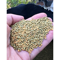 Osmocote Gübre 8-9 aylık 500 gram