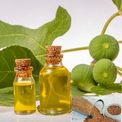 incir çekirdek yağı 30 ML