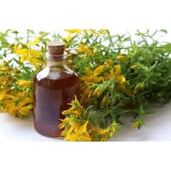 sarı kantaron yağı 250 ml