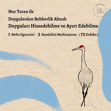 Duygulardan Rehberlik Almak - Duyguları Hissedebilme ve Ayırt Edebilme