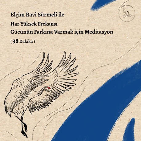 Har Yüksek Frekansı - Gücünün Farkına Varmak için Meditasyon