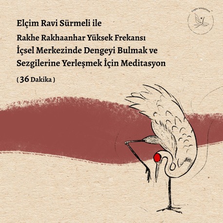Rakhe Rakhaanhar Yüksek Frekansı - İçsel Merkezinde Dengeyi Bulmak ve Sezgilerine Yerleşmek