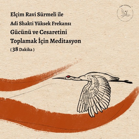 Adi Shakti Yüksek Frekansı - Gücünü ve Cesaretini Toplamak İçin Meditasyon