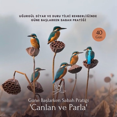 Güne Başlarken 21 Gün Sabah Pratiği  