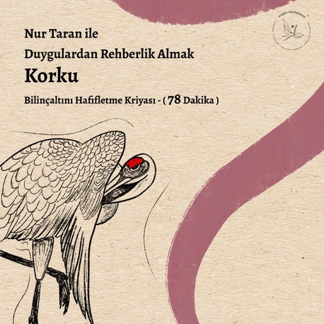 Duygulardan Rehberlik Almak - Korku