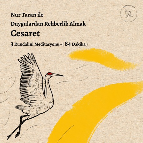 Duygulardan Rehberlik Almak - Cesaret
