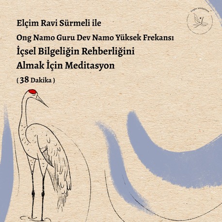 Ong Namo Guru Dev Namo Yüksek Frekansı- İçsel Bilgeliğin Rehberliğini Almak İçin Meditasyon
