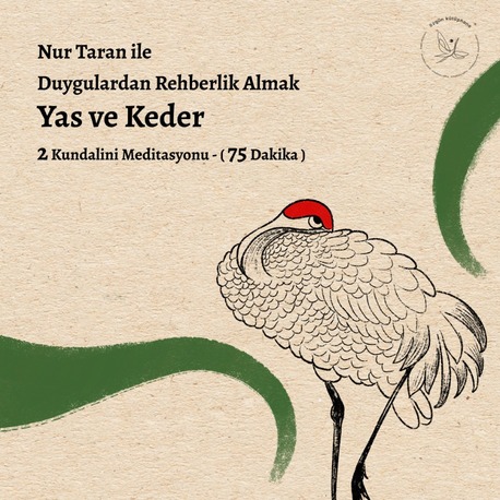 Duygulardan Rehberlik Almak -Yas ve Keder