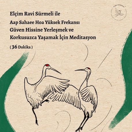 Aap Sahaee Hoa Yüksek Frekansı - Güven Hissine Yerleşmek ve Korkusuzca Yaşamak