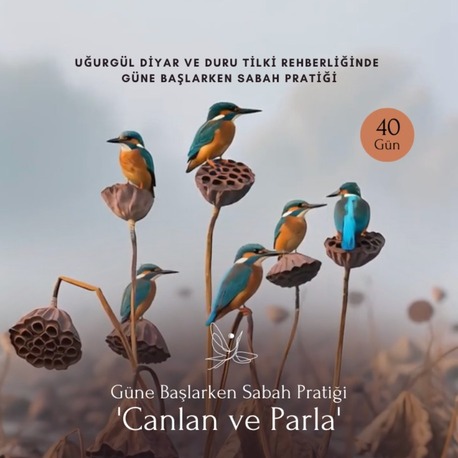 Güne Başlarken 7 Gün Sabah Pratiği 
