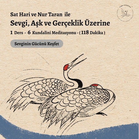 Sevgi, Aşk, Gerçeklik Üzerine Arşiv Kayıtları