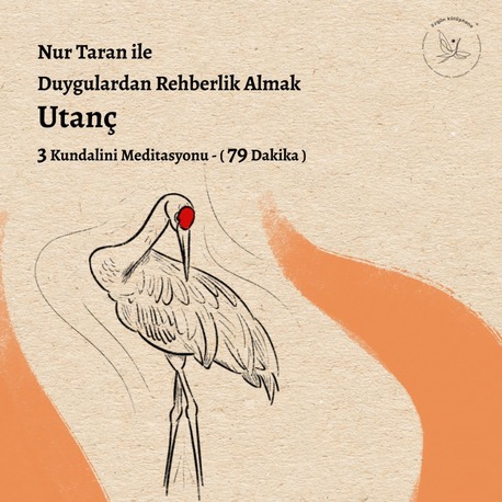 Duygulardan Rehberlik Almak - Utanç