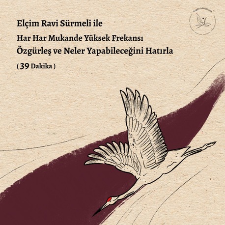 Har Har Mukande Yüksek Frekansı - Özgürleş ve Neler yapabileceğini Hatırla