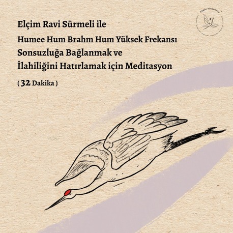 Humee Hum Brahm Hum Yüksek Frekansı - Sonsuzluğa Bağlanmak ve İlahiliğini Hatırlamak