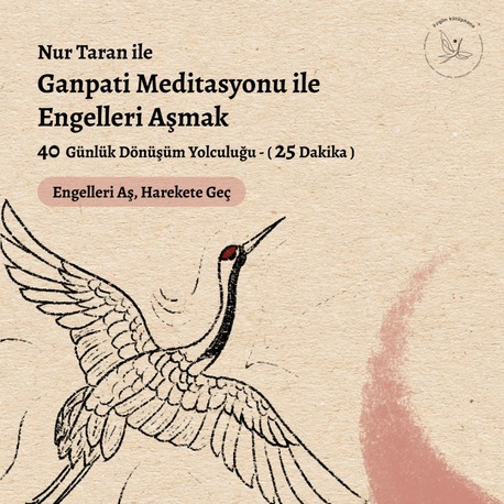 Ganpati Meditasyonu ile 40 Gün Arşiv Kayıtları