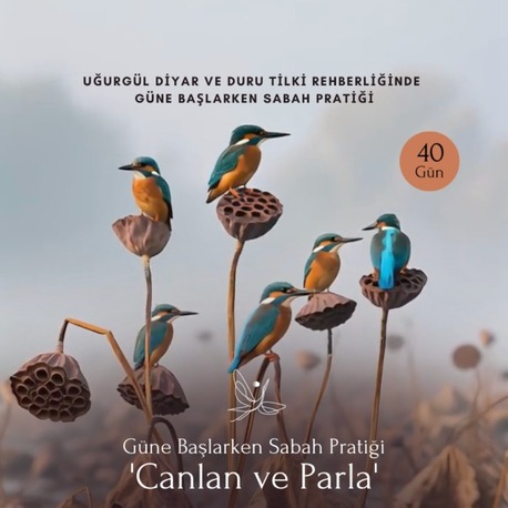 Güne Başlarken 40 Günlük Sabah Pratiği