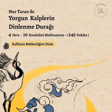 Yorgun Kalplerin Dinlenme Durağı Arşiv Kayıtları