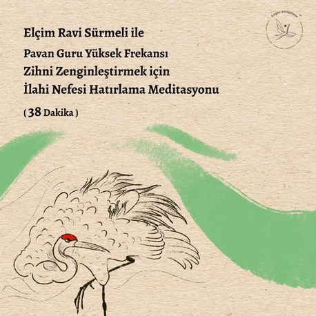 Pavan Guru Yüksek Frekansı - Zihni Zenginleştirmek için İlahi Nefesi Hatırlama Meditasyonu