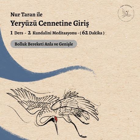 Yeryüzü Cennetine Giriş Arşiv Kayıtları