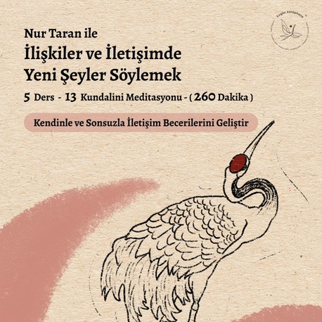 İlişkiler ve İletişimde Yeni Şeyler Söylemek Arşiv Kayıtları