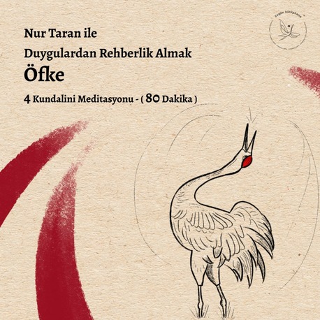 Duygulardan Rehberlik Almak - Öfke