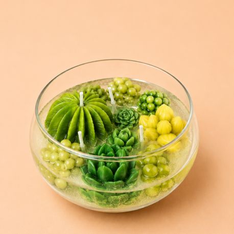 Sukulent Cloche