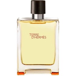 Terre D Hermes Edt 100ml 