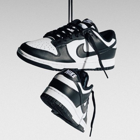 Dunk Sb Panda (40/44)