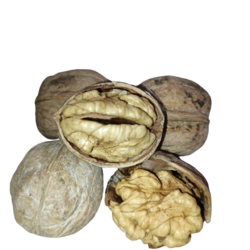 Malatya Hekimhan İnce Kabuk Ceviz 1 Kg