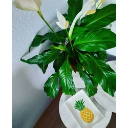%100 El Emeği Küçük Ebat Ananas Desenli Ahşap Tepsi 