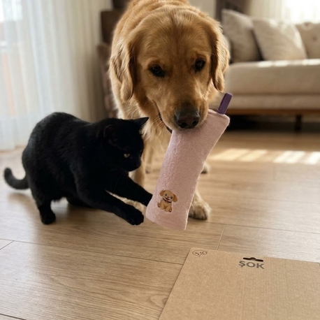 Kedi Köpek Oyuncağı Peluş Baskılı, Yumuşak Kumaşlı Hışırtılı Oyuncak