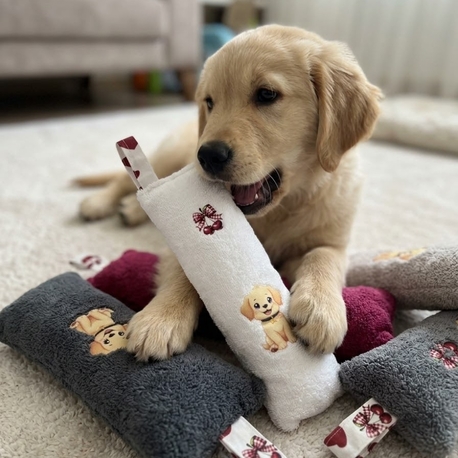 Kedi Köpek Oyuncağı Peluş Baskılı, Yumuşak Kumaşlı Hışırtılı Oyuncak