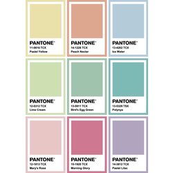 Pantone Sticker Seti (9 adet)
