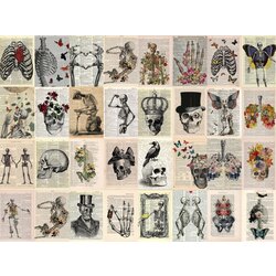 Skeleton Scrapbook Kağıt Seti (32 adet)