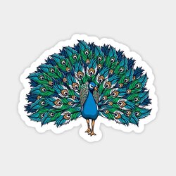 Peacock Tekli Sticker