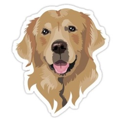 Golden Retriever Tekli Sticker