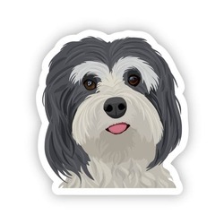 Havanese Tekli Sticker